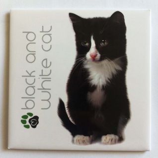 promotion fridge magnet