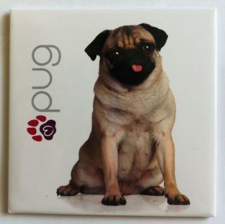 promotion fridge magnet