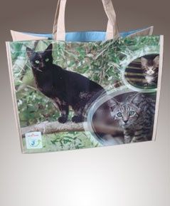 non woven lamination bag
