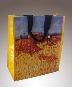 non woven lamination bag