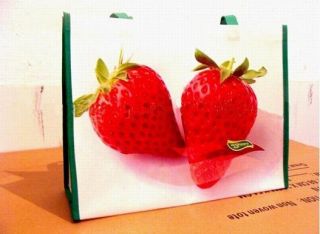 pp woven shopping bag